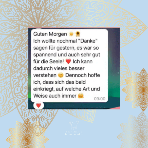 Simone Schimitt, Testimonial