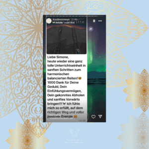 Simone Schimitt, Testimonial
