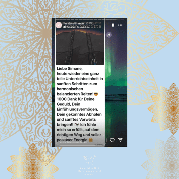 Simone Schimitt, Testimonial