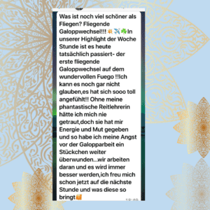 Simone Schimitt, Testimonial