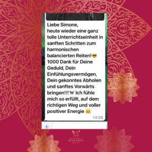 Simone Schimitt, Testimonial
