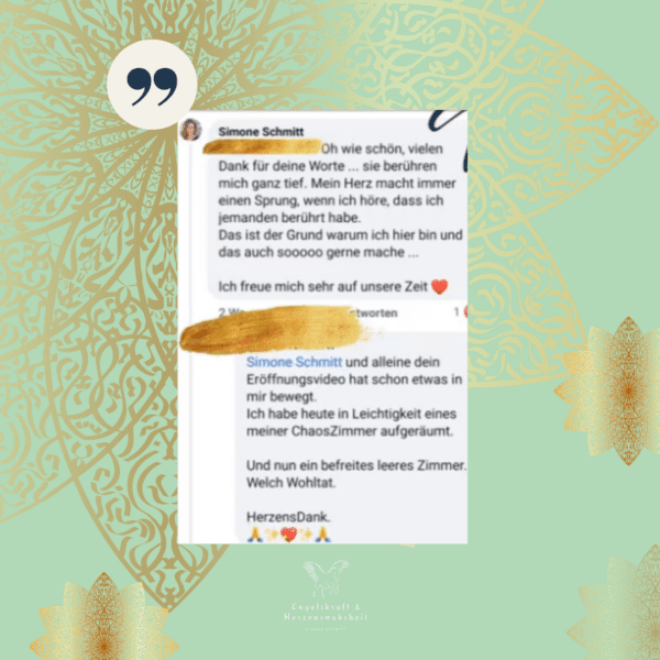 Simone Schimitt, Testimonial