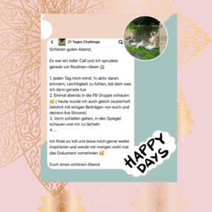 Simone Schimitt, Testimonial