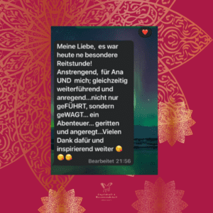Simone Schimitt, Testimonial