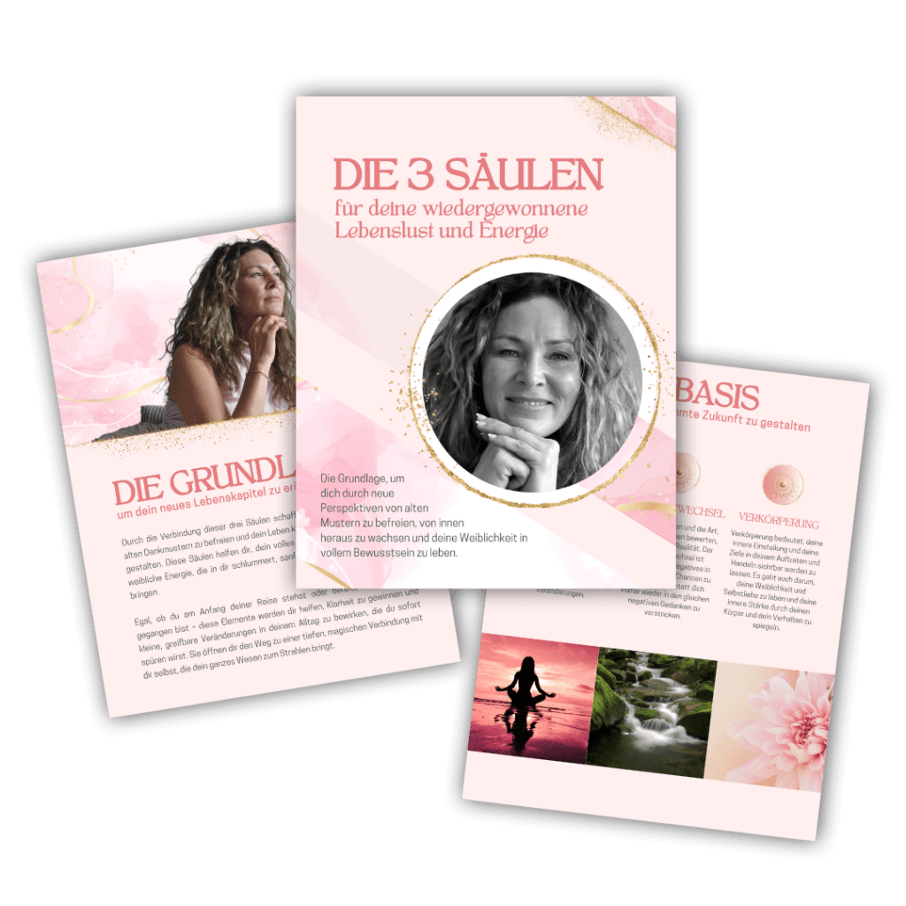 Workbook, die 3 Säulen, Simone Schmitt