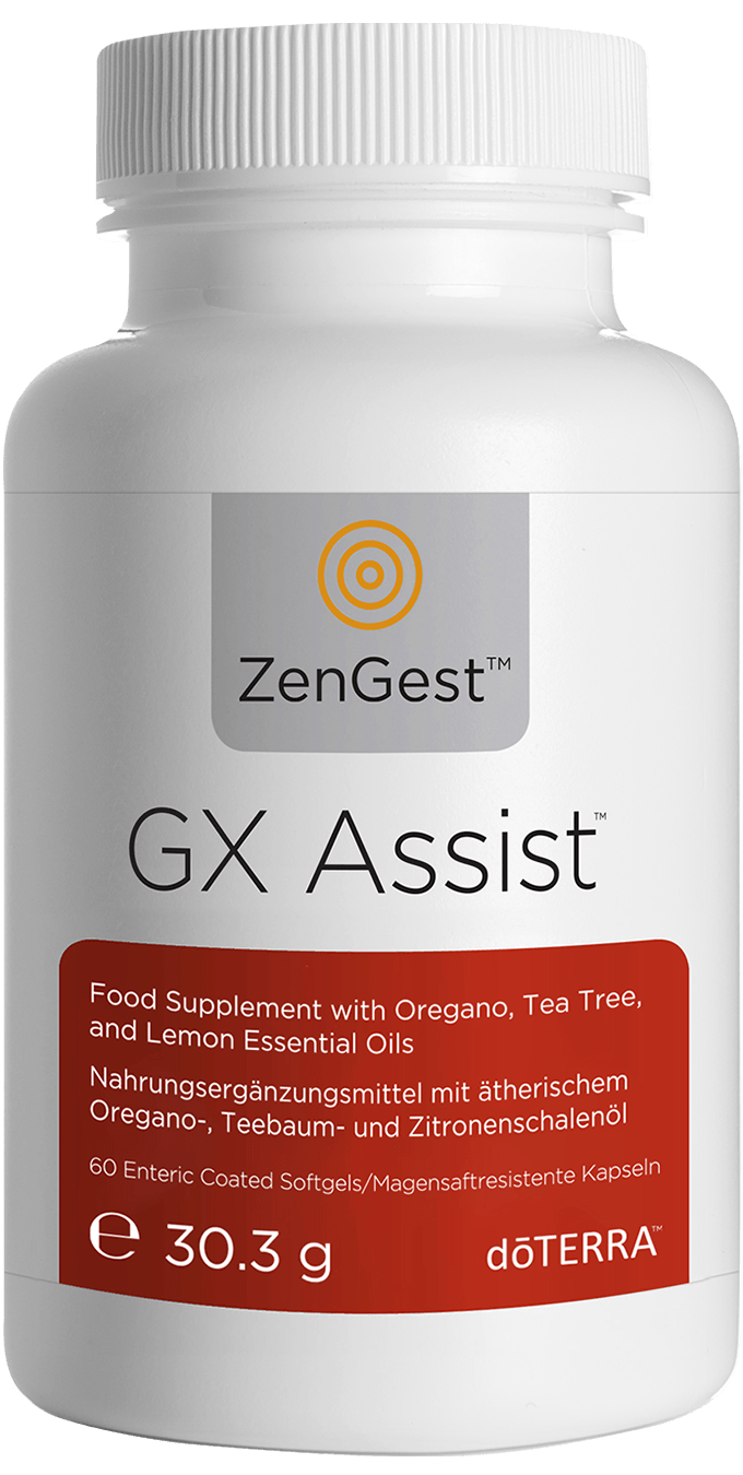 GX Assist